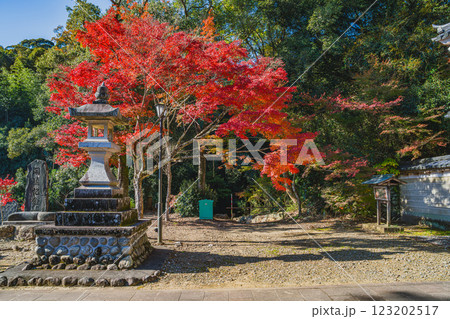 袋井市にある紅葉に染まる油山寺の山門前の風景(静岡県) 123202517