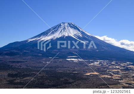 山梨県・竜ヶ岳より望む富士山と広大な青木ヶ原樹海 123202561