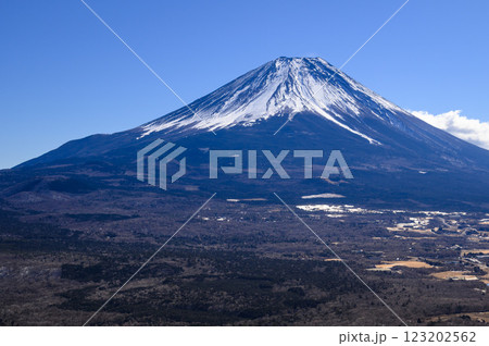 山梨県・竜ヶ岳より望む富士山と広大な青木ヶ原樹海 123202562