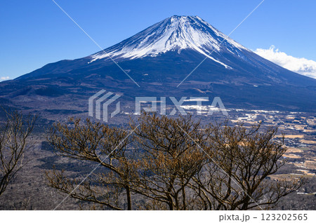 山梨県・竜ヶ岳より望む富士山と広大な青木ヶ原樹海 山梨県・竜ヶ岳より望む富士山と広大な青木ヶ原樹海 123202565