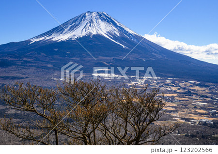 山梨県・竜ヶ岳より望む富士山と広大な青木ヶ原樹海 123202566