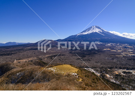 山梨県・竜ヶ岳より望む富士山と広大な青木ヶ原樹海 123202567