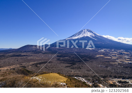 山梨県・竜ヶ岳より望む富士山と広大な青木ヶ原樹海 123202568