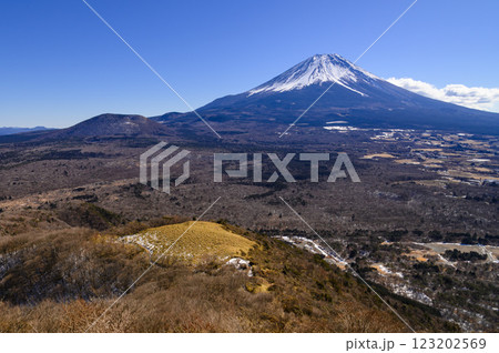 山梨県・竜ヶ岳より望む富士山と広大な青木ヶ原樹海 123202569