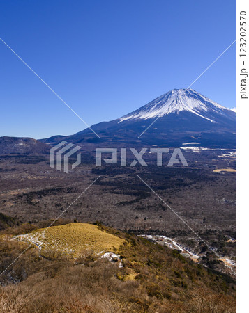 山梨県・竜ヶ岳より望む富士山と広大な青木ヶ原樹海 123202570