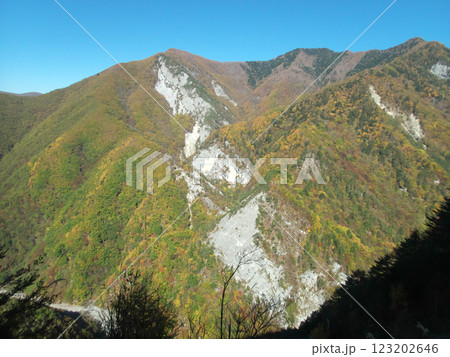 林道バスから見た秋の山肌 123202646
