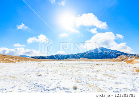 冬の草千里ヶ浜 熊本県阿蘇市 冬の草千里ヶ浜 熊本県阿蘇市 123202783