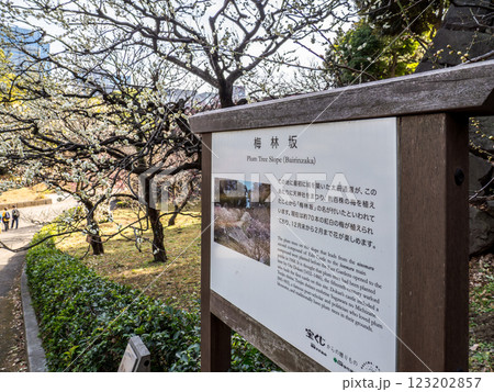 皇居東御苑の梅林坂と解説板 123202857