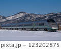 雪景色の中を走る銀色の山形新幹線つばさ 123202875