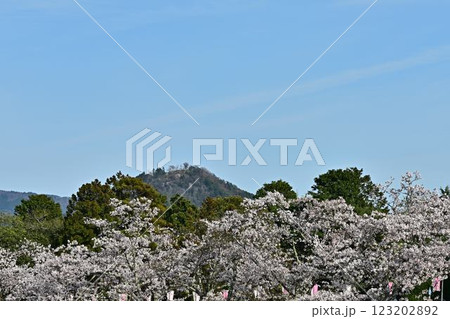 春の丹波篠山 春の丹波篠山 123202892