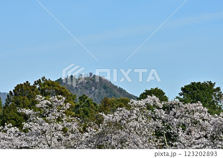 春の丹波篠山 春の丹波篠山 123202893