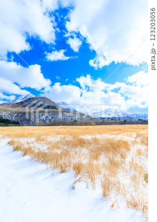 冬のタデ原湿原 くじゅう連山 大分県玖珠郡 冬のタデ原湿原 くじゅう連山 大分県玖珠郡 123203056