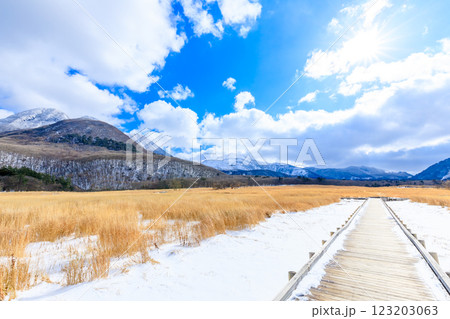冬のタデ原湿原 くじゅう連山 大分県玖珠郡 冬のタデ原湿原 くじゅう連山 大分県玖珠郡 123203063
