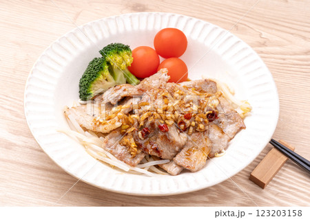 豚肉ソテーねぎソース 豚肉ソテーねぎソース 123203158