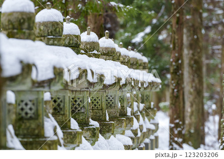 雪に覆われた石灯籠が並ぶ冬の寺社風景 123203206