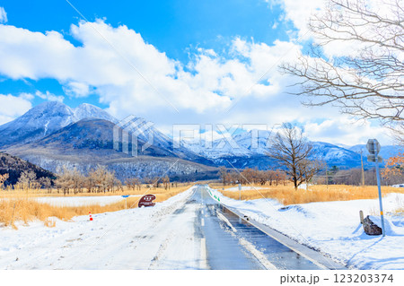 冬の長者原　やまなみハイウェイ　大分県玖珠郡 123203374