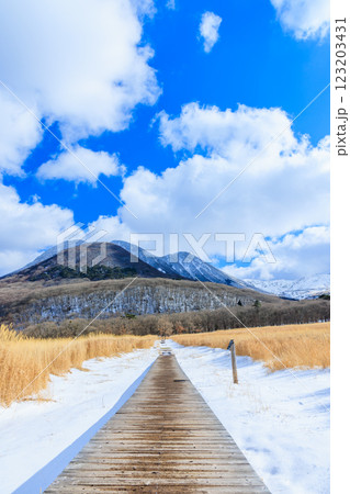 冬のタデ原湿原　くじゅう連山　大分県玖珠郡 123203431