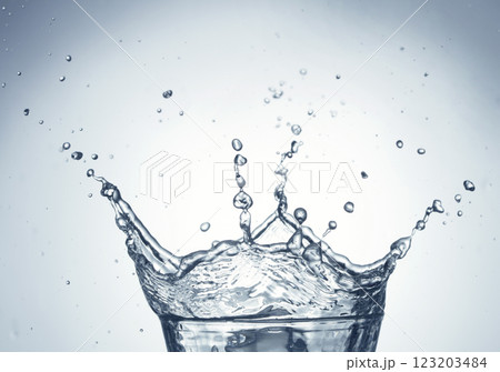 water splash in glass on white background 123203484