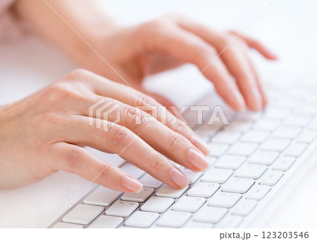 Woman's hands typing 123203546