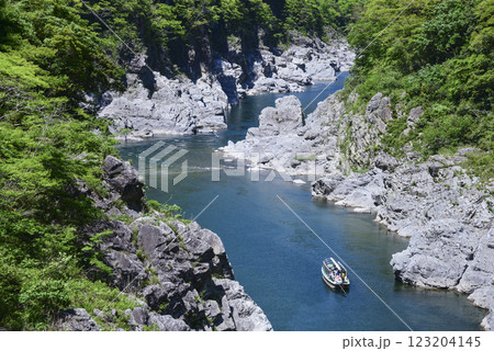 奇岩の大歩危峡川下り 123204145
