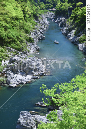 初夏の大歩危峡を川下り 123204149