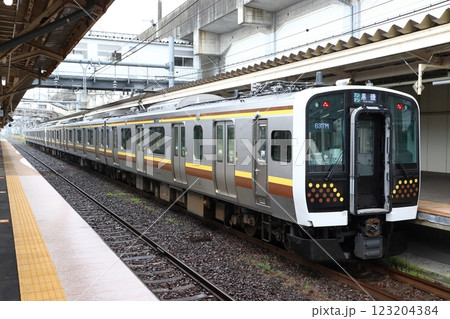 宇都宮線E131系電車（6両編成：宇都宮⇔黒磯） 123204384