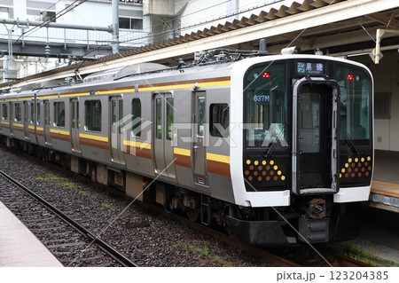 宇都宮線E131系電車（宇都宮⇔黒磯） 123204385