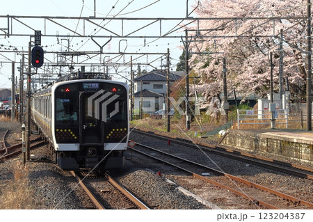 春の宇都宮線E131系電車（6両編成：宇都宮⇔黒磯） 123204387