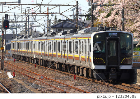 春の宇都宮線E131系電車（6両編成：宇都宮⇔黒磯） 123204388