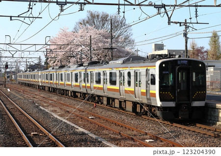 春の宇都宮線E131系電車（6両編成：宇都宮⇔黒磯） 123204390