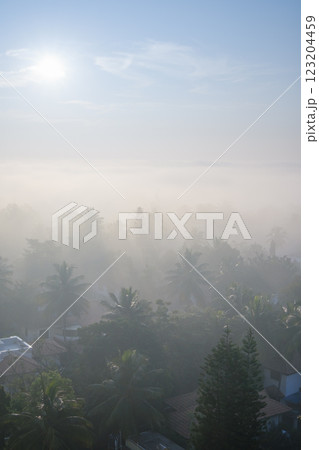 インド_ヤシの木と朝もやに注ぐ太陽光の風景 123204459