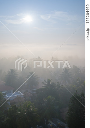 インド_ヤシの木と朝もやに注ぐ太陽光の風景 123204460