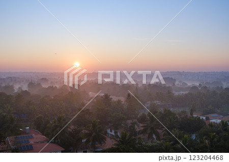 インド_ヤシの木と朝もやに注ぐ太陽光の風景 123204468