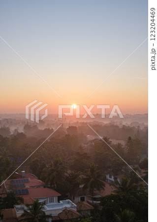 インド_ヤシの木と朝もやに注ぐ太陽光の風景 123204469