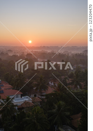 インド_ヤシの木と朝もやに注ぐ太陽光の風景 インド_ヤシの木と朝もやに注ぐ太陽光の風景 123204470