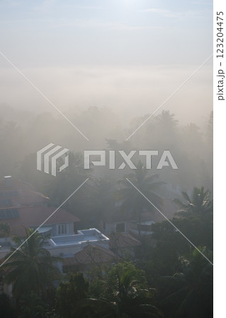 インド_ヤシの木と朝もやに注ぐ太陽光の風景 インド_ヤシの木と朝もやに注ぐ太陽光の風景 123204475
