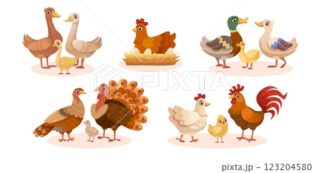 Farm birds. Cartoon poultry animals, hen chicken on nest breeds turkey goose duck or rooster family walking farmyard, farmer domestic bird livestock set, swanky vector illustration 123204580