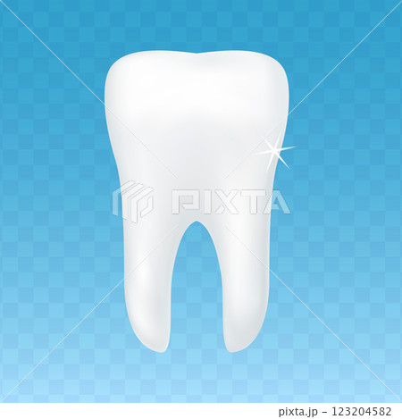 White tooth isolated 123204582