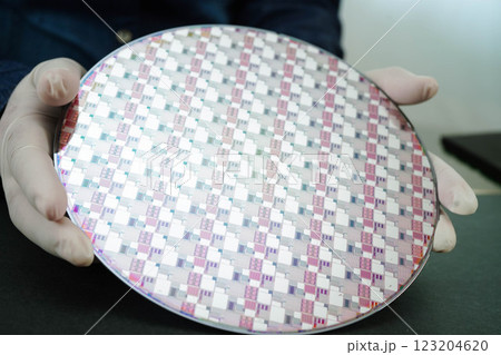 Silicon wafer for manufacturing semiconductor of integrated circuit. 123204620