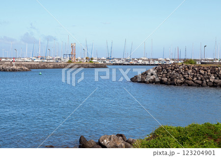The marina in Saint-Pierre of the Reunion The marina in Saint-Pierre of the Reunion 123204901