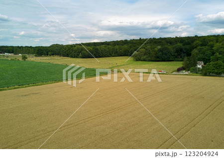 Aerial view of the Countryside in Ile-de-France 123204924