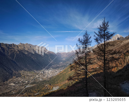 Chamonix valley in autumn with colorful trees and majestic mountains 123205035