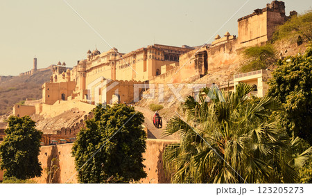 Panorama of Amber Fort (Amer Fort) in Jaipur city of Rajastan, India 123205273