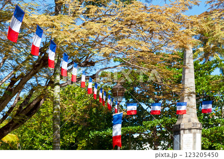 French flag bunting for Bastille day 123205450