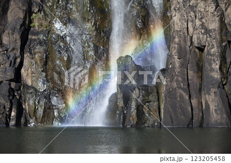 Niagara waterfall in Sainte-Suzanne de la Reunion Niagara waterfall in Sainte-Suzanne de la Reunion 123205458