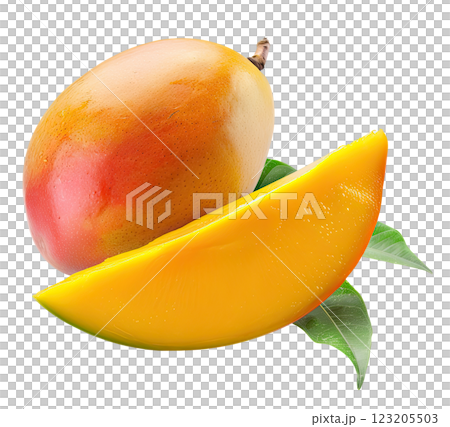 Mango 123205503