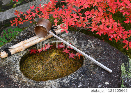 芭蕉と蕪村ゆかり 京都市金福寺のつくばい 123205665