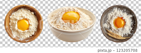 Wheat Flour 123205708