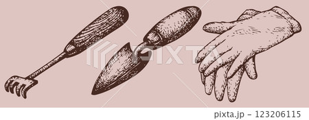 Vector drawing. Garden gloves, shovel and rake 123206115