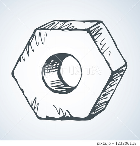 Large nut. Vector drawing 123206118